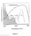 Fig. 06 - Shaped-excitation fluorescence (SEF) microscopy