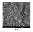 Fig. 07 - Composite micro-sensor for detecting free radicals
