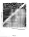 Fig. 14 - Nanodiamond particles and related devices and methods