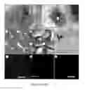 Fig. 34 - Nanodiamond particles and related devices and methods