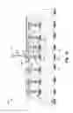 Fig. 05 - High density and fine pitch interconnect structures in an electric test apparatus