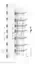 Fig. 07 - High density and fine pitch interconnect structures in an electric test apparatus
