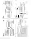 Fig. 02 - Socially enabled provider/consumer consensus