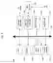 Fig. 09 - SYSTEM FOR PREDICTING FUTURE PURCHASE USING SEQUENCE PATTERN MINING OF CREDIT/DEBIT DATA