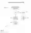 Fig. 06 - Integration of multiple electronic records