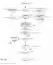 Fig. 08 - Integration of multiple electronic records