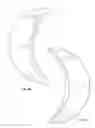 Fig. 08 - Trumpet slide ring spacer