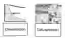 Fig. 01 - PREDICTIVE BIOMARKERS OF DRUG RESPONSE IN MALIGNANCIES