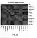 Fig. 04 - PREDICTIVE BIOMARKERS OF DRUG RESPONSE IN MALIGNANCIES