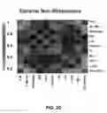 Fig. 05 - PREDICTIVE BIOMARKERS OF DRUG RESPONSE IN MALIGNANCIES