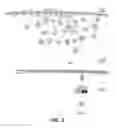 Fig. 06 - PREDICTIVE BIOMARKERS OF DRUG RESPONSE IN MALIGNANCIES