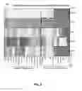 Fig. 09 - PREDICTIVE BIOMARKERS OF DRUG RESPONSE IN MALIGNANCIES