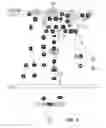 Fig. 12 - PREDICTIVE BIOMARKERS OF DRUG RESPONSE IN MALIGNANCIES