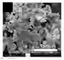 Fig. 01 - Nanocomposite cathode materials for use in batteries