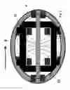 Fig. 07 - Antenna array