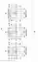 Fig. 06 - Hybrid high gain antenna systems, devices, and methods