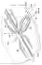 Fig. 48 - ANTENNA STRUCTURES AND ASSOCIATED METHODS FOR CONSTRUCTION AND USE