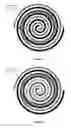 Fig. 02 - Multiband circularly polarised antenna