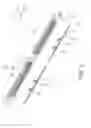 Fig. 02 - Card edge connector