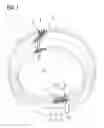 Fig. 02 - Stator for an electrical machine