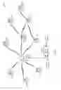 Fig. 02 - Wide-band Wilkinson divider