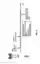 Fig. 32 - Beam reports with multiple cells