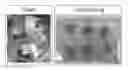 Fig. 01 - COMPOSITIONS AND RELATED METHODS FOR AGRICULTURE