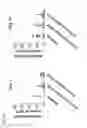 Fig. 32 - COMPOSITIONS AND RELATED METHODS FOR AGRICULTURE