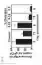 Fig. 37 - COMPOSITIONS AND RELATED METHODS FOR AGRICULTURE
