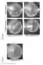 Fig. 63 - COMPOSITIONS AND RELATED METHODS FOR AGRICULTURE