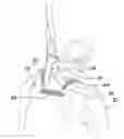 Fig. 01 - Outerwear garment for use with a fall-arrest harness