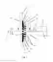 Fig. 02 - Vertically rotating grooming attachment brush and method of use