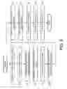 Fig. 07 - OBJECT INFORMATION ACQUIRING APPARATUS AND DISPLAY METHOD