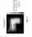 Fig. 09 - OBJECT INFORMATION ACQUIRING APPARATUS AND DISPLAY METHOD