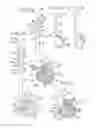 Fig. 03 - Apparatus and methods for disrupting intervertebral disc tissue