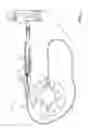 Fig. 02 - Multi-lobe balloon for cryoablation