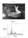 Fig. 06 - Method for manufacturing bone graft material and bone graft material manufactured thereby