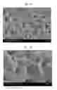 Fig. 07 - Method for manufacturing bone graft material and bone graft material manufactured thereby