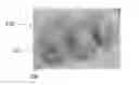 Fig. 01 - HYGIENE PRODUCT POD AND METHODS OF USING SAME