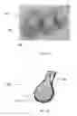 Fig. 02 - Hygiene product pod and methods of using same