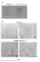 Fig. 02 - Use of polyamines in compositions and methods for inducing or promoting skin darkening and regulating melanogenesis