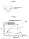 Fig. 03 - Gastric Retention and Controlled Release Delivery System