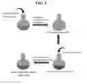 Fig. 02 - LIPOSOMAL FORMULATIONS
