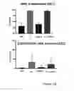 Fig. 07 - Combination of a selective histone deacetylase 3 (HDAC3) inhibitor and an immunotherapy agent for the treatment of cancer