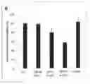 Fig. 01 - COMBINATION THERAPY COMPRISING A POLYUNSATURATED KETONE AND A FOLIC ACID PARTNER