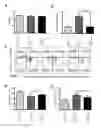 Fig. 01 - Application of methyl 4-[9-(6-aminopuryl)]-2(s)-hydroxybutyrate in preparation of medicament for treating psoriasis and vitiligo