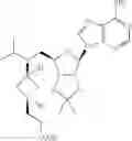 Fig. 09 - Method of treating leukemia