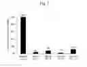 Fig. 08 - Pharmaceutical composition for treating and/or preventing cancer
