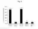 Fig. 09 - Pharmaceutical composition for treating and/or preventing cancer