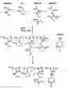 Fig. 01 - Biodegradable, antioxidant, thermally responsive injectable hydrogel and uses therefor